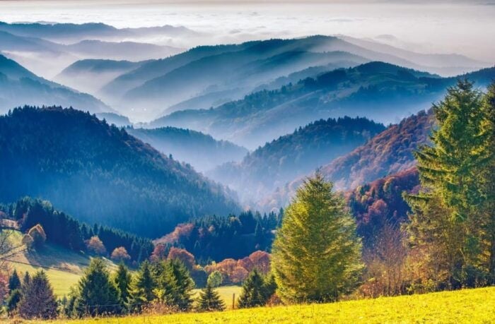 From Strasbourg: Black Forest and Baden Baden Day Trip - Important Information for Travelers