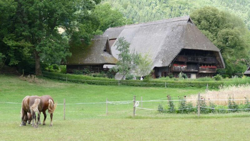 From Strasbourg: Black Forest Day Trip with Guide & Museum - Exploring the Black Forest Day Trip from Strasbourg