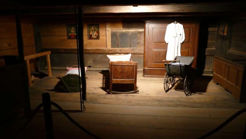 From Strasbourg: Black Forest Day Trip with Guide & Museum - The Sum Up