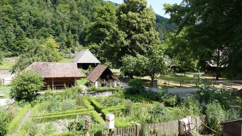 From Strasbourg: Black Forest Day Trip with Guide & Museum - FAQs