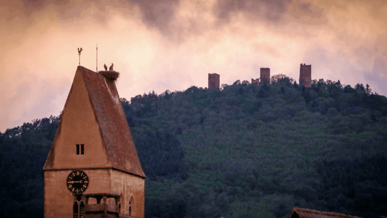 From Strasbourg: Colmar & Alsace Wine Route Private Day Trip - Exploring Colmar: Little Venice and Local Cuisine