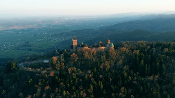 From Strasbourg: Colmar, Riquewihr, and Eguisheim Driver - Questions You May Have