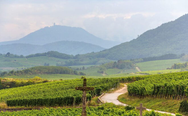 From Strasbourg: Full-Day Highlights of the Alsace Tour - Important Information