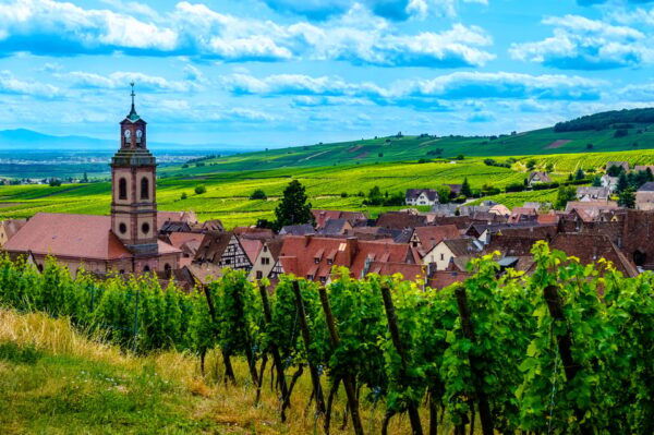 From Strasbourg: Full-Day Highlights of the Alsace Tour - Exploring Colmar