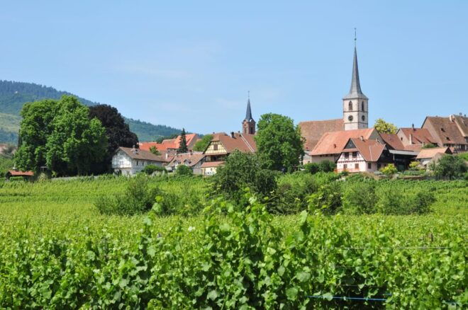 From Strasbourg: Half-Day Tour of Alsace Villages - Meeting Point Information