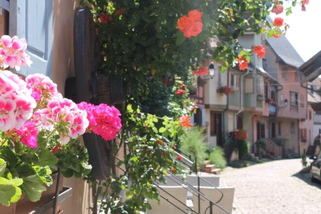 From Strasbourg: Half-Day Tour of Alsace Villages - Inclusions and Exclusions