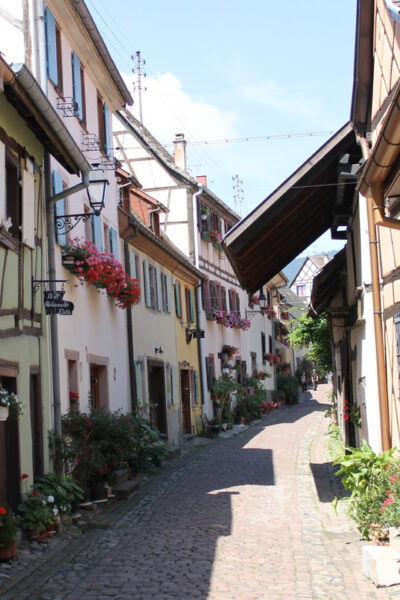 From Strasbourg: Half-Day Tour of Alsace Villages - Questions You May Have