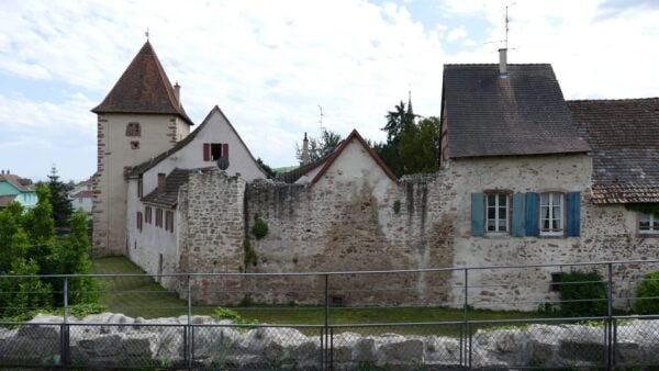 From Strasbourg: Medieval Villages & Wine Tasting Day Trip - Important Travel Tips