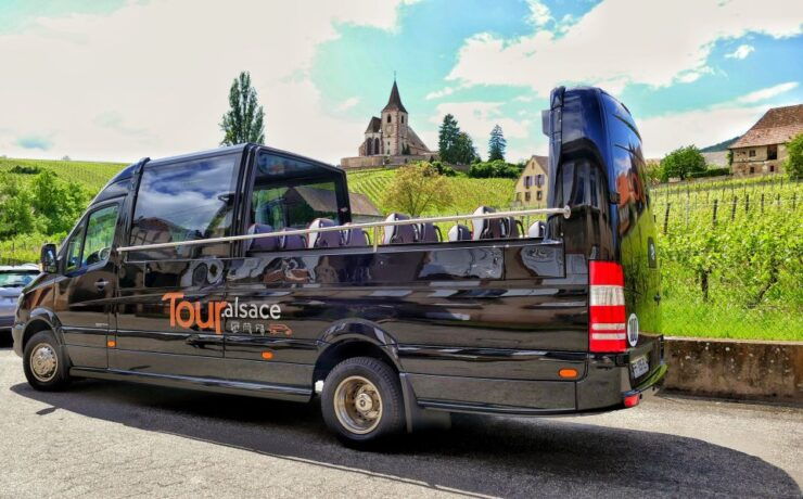 From Strasbourg: Medieval Villages & Wine Tasting Day Trip - Tour Highlights