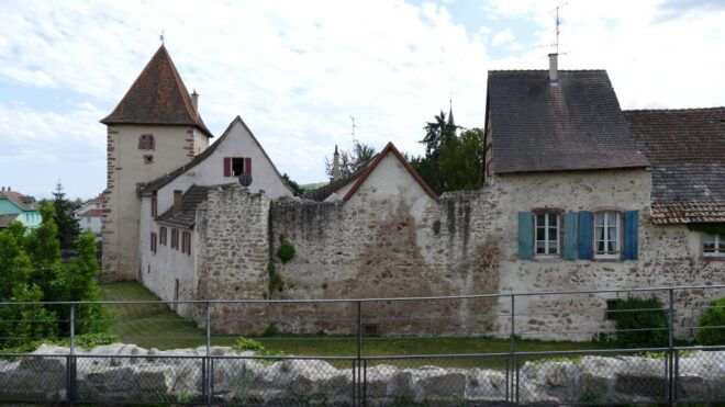 From Strasbourg: Medieval Villages & Wine Tasting Day Trip - Guest Reviews