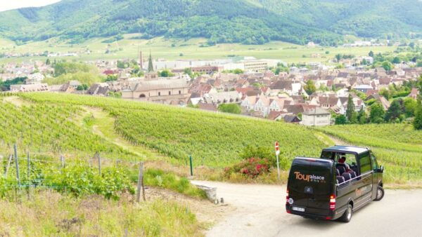 From Strasbourg: Medieval Villages & Wine Tasting Day Trip - Overall Recommendation