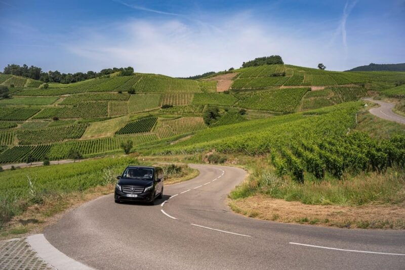 From Strasbourg: Private Alsace Classic Wine Tour - Pricing and Payment Options