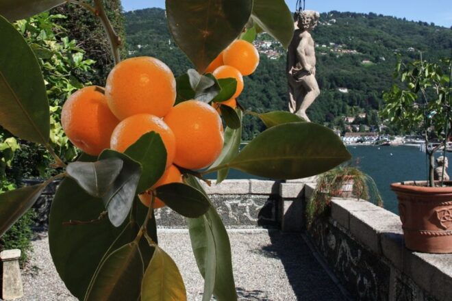 From Stresa: 2 Borromean Islands Hop-on Hop-off Boat Tour - Boat Ride to Isola Madre