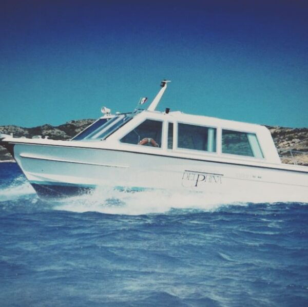 From Stresa/Baveno: Verbania Pallanza and Island Boat Tour - Description of the Experience