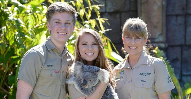 From Sunshine Coast: Australia Zoo Entry Ticket and Transfer - Experience Highlights