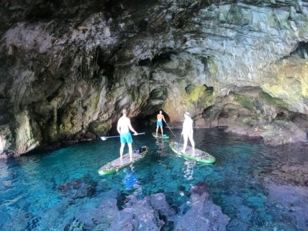 From : SUP SAFARI 3h - Customer Feedback