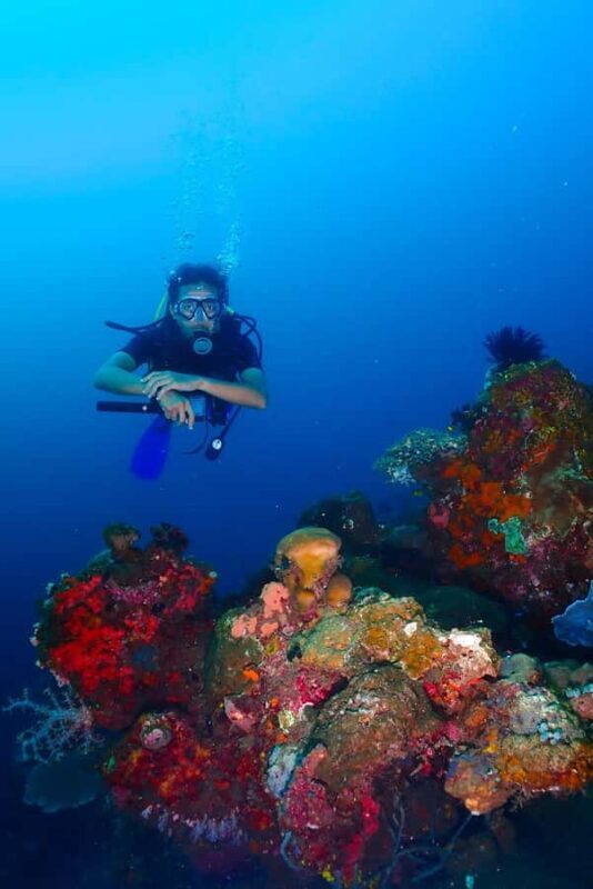 From Surabaya: Banyuwangi 2-day Diving Tour - Good To Know