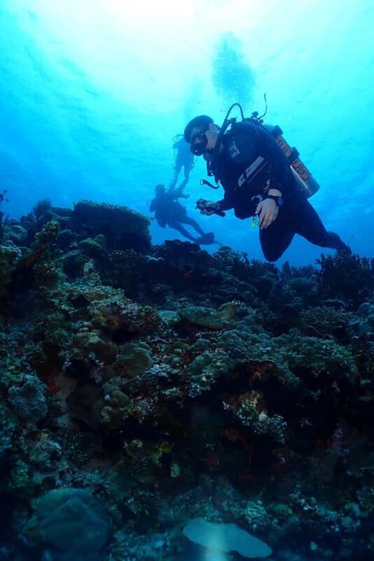 From Surabaya: Banyuwangi 2-day Diving Tour - Deep Dive into the Itinerary & Experience