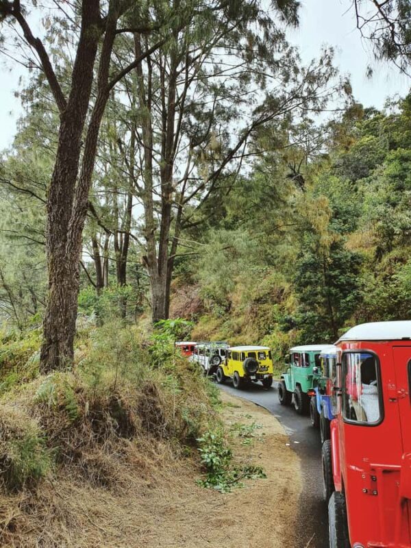 From Surabaya: Budget Friendly Private Bromo and Ijen 2D1N - Final Thoughts: Who Would Love This Tour?