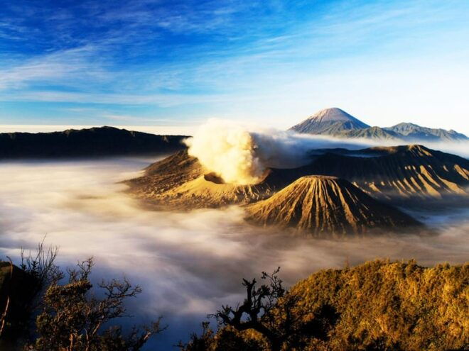 From Surabaya/Malang : Bromo Midnight Tour - Key Attractions