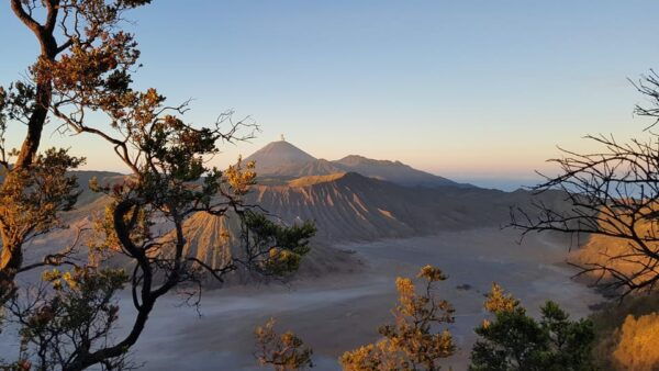 From Surabaya/Malang : Bromo Midnight Tour - Questions You May Have