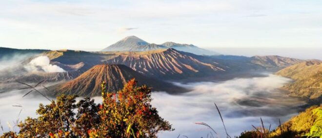 From Surabaya/ Malang :Bromo Sunrise and Waterfall - Highlighted Activities