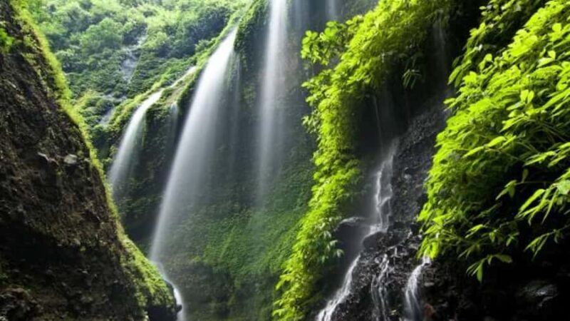 From Surabaya/Malang: Mount Bromo and Madakaripura Day Tour - Conquering Mount Bromo