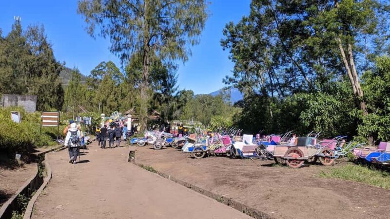 from Surabaya/Malang to Tumpak Sewu Waterfall, Bromo & Ijen - Is This Tour Worth It?