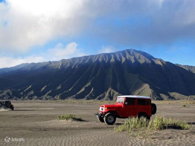 From Surabaya: Midnight Tour To Mt. Bromo For Sunrise - Driver and Pickup Logistics