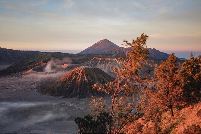 From Surabaya: Mount Bromo Sunrise Private Day Trip - Pricing and Booking Details
