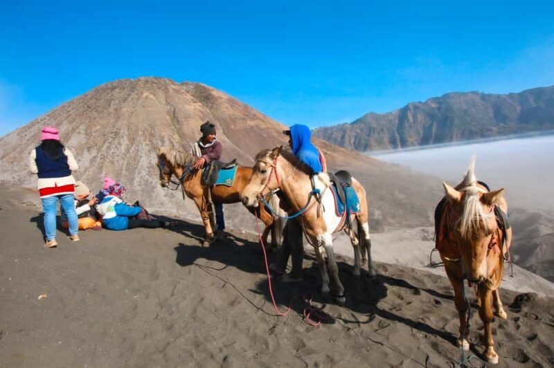 From Surabaya or Malang: 3-Day Bromo & Ijen Tour & Stay - The Sum Up