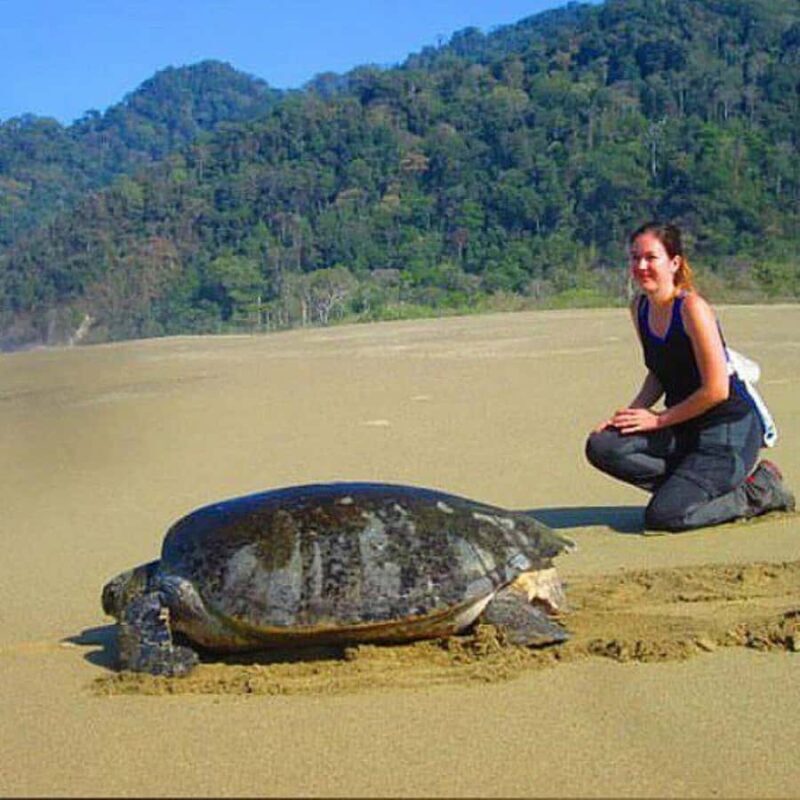 From Surabaya or Malang: Bromo-Ijen-Sukamade-Bali (4 days) - Good To Know