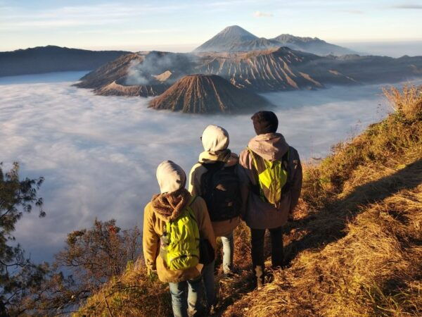 From Surabaya or Malang: Mount Bromo Sunrise Day Trip - Tips for Dressing and Avoiding Crowds