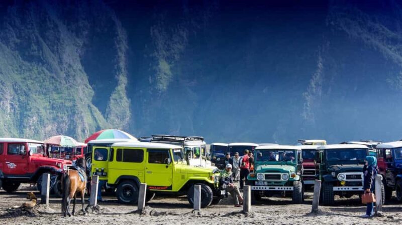 FROM SURABAYA OR MALANG: PEKALEN RAFTING AND BROMO SUNRISE. - Who Should Consider This Tour?