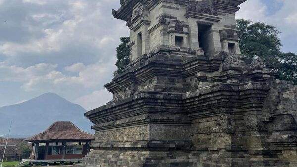 From Surabaya Port: Archeological Trowulan Cruise Tour - Booking Details