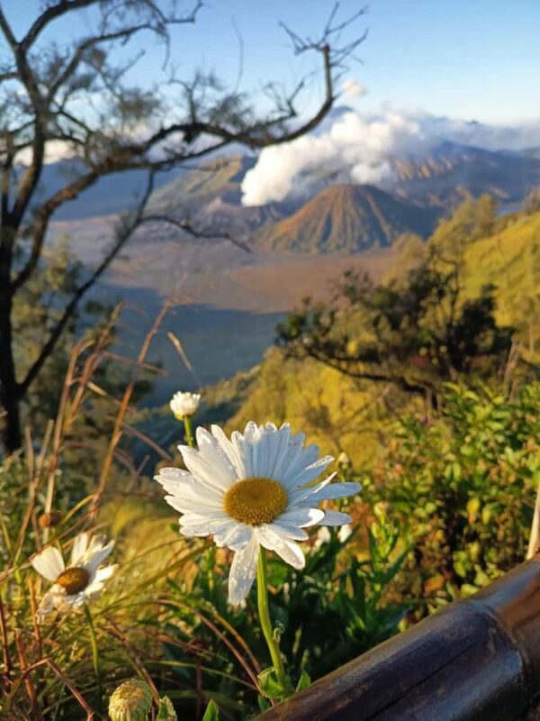 From Surabaya: Private 3-Day Mount Bromo Ijen Tour - FAQ