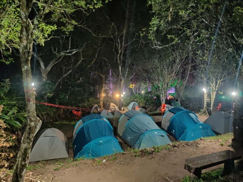 From Suryanelli: Kolukkumalai Tent Stay - An In-Depth Look at the Kolukkumalai Tent Stay Experience