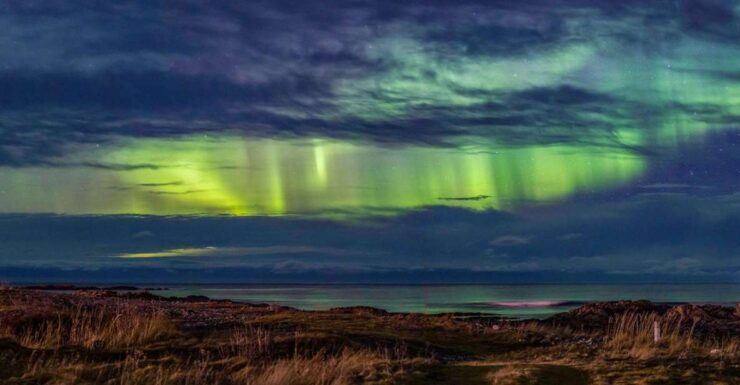 From Svolvær: Guided Northern Lights Tour by Van - Activity Details