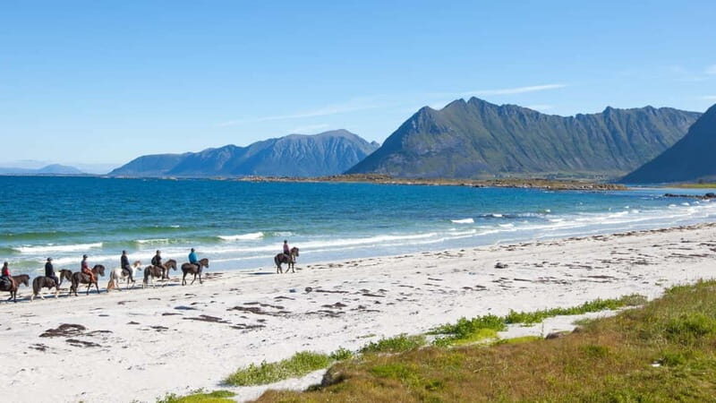 From Svolvær: Henningsvær Lofoten East Island Full Day Tour - Good To Know