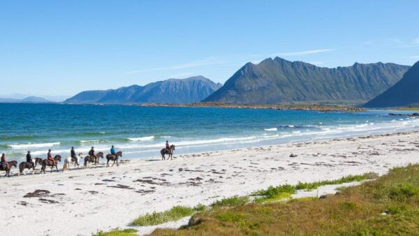 From Svolvær: Henningsvær Lofoten East Island Full Day Tour - Frequently Asked Questions