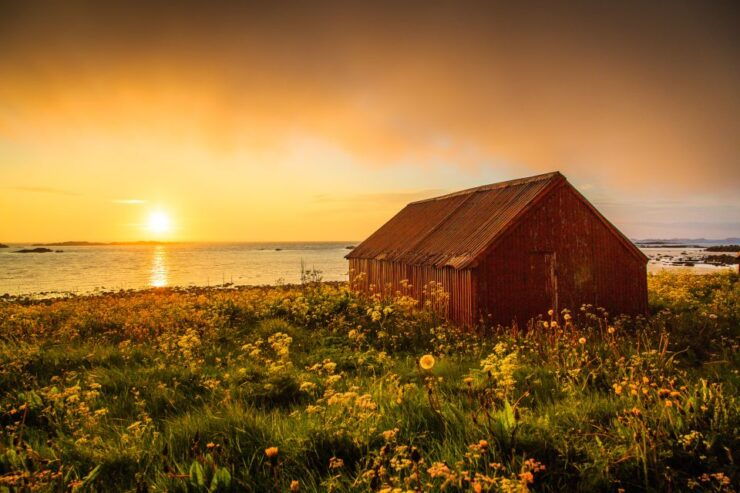 From Svolvær: Midnight Sun Photography Tour - Experience Highlights
