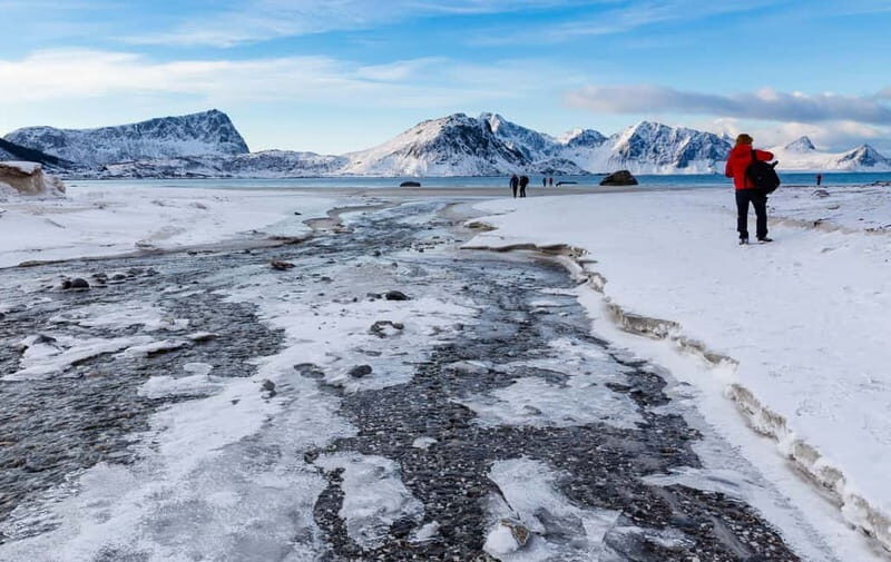 from Svolvær: Private Full Day Sightseeing Tour to Å Lofoten - What Makes This Tour Stand Out?