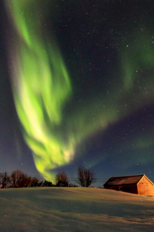 From Svolvaer: Private Northern Lights Search Trip - Experience Highlights