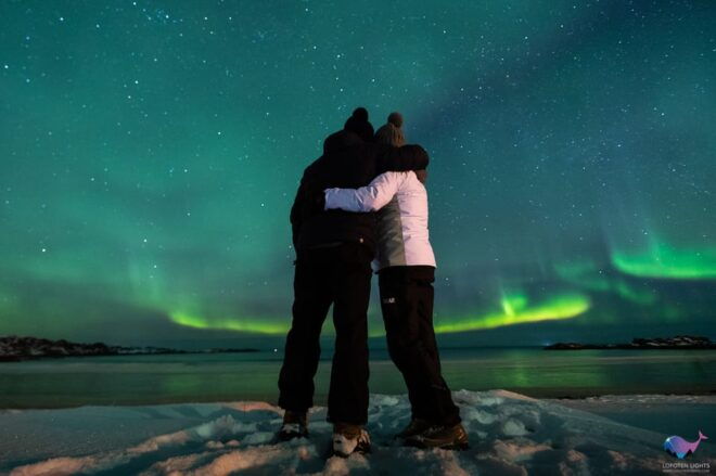 From Svolvaer: Private Northern Lights Search Trip - Customer Reviews