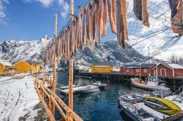 From Svolvær: Reine & Å Lofoten West Island Full Day Tour - Discovering Nusfjord