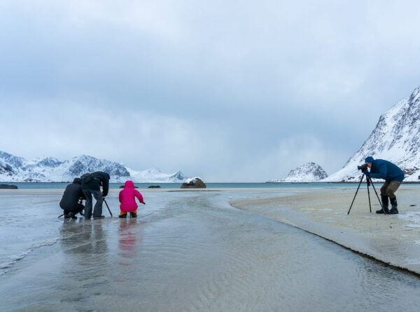From Svolvær: Reine Winter Photography Tour and Photographer - Positive Customer Reviews