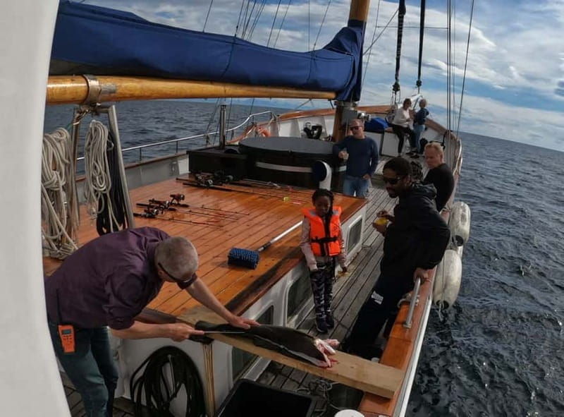 From Svolvær: Taste of Lofoten - Cultural Fishing Experience - Good To Know