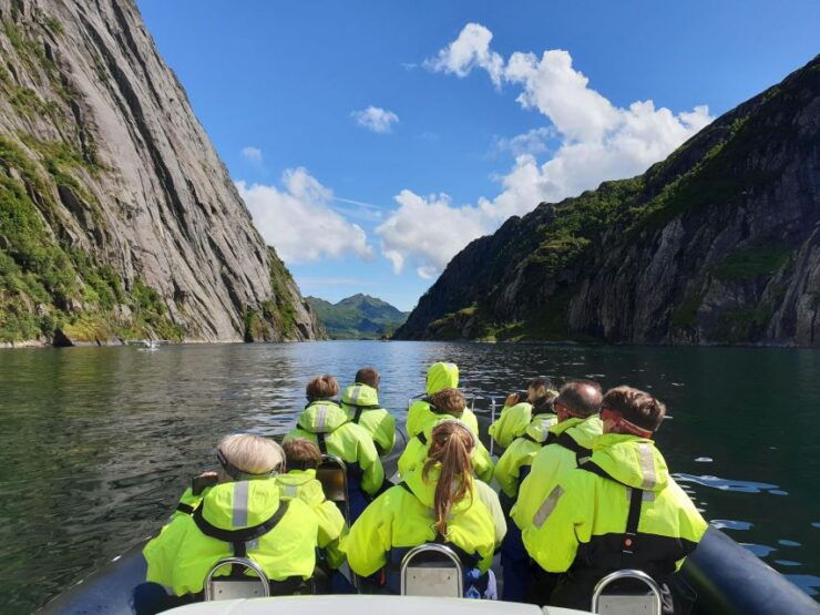 From Svolvaer: Trollfjorden Wildlife RIB Cruise - Booking Details