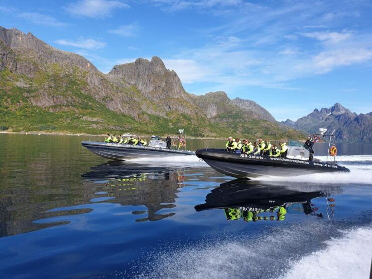From Svolvaer: Trollfjorden Wildlife RIB Cruise - Tour Experience