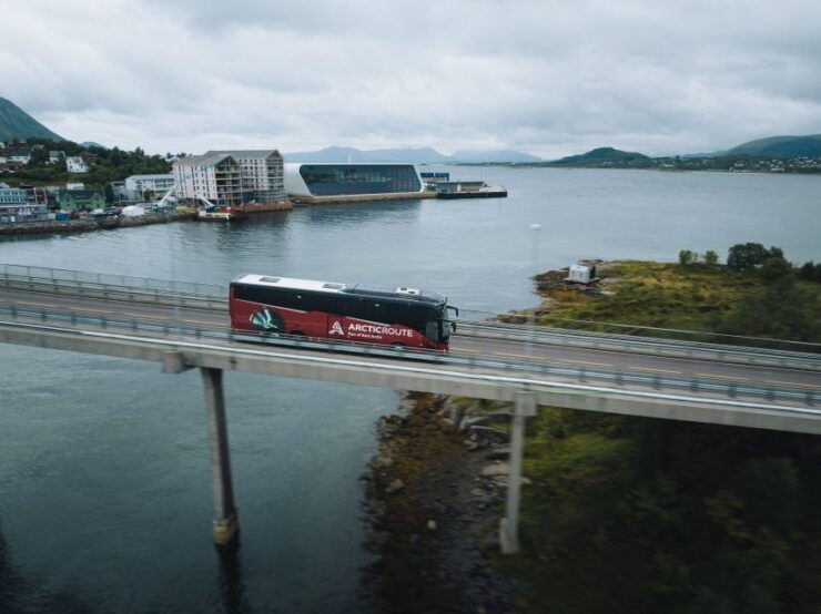 From Svolvær: Whale Watching Day Trip to Andenes - Tour Highlights